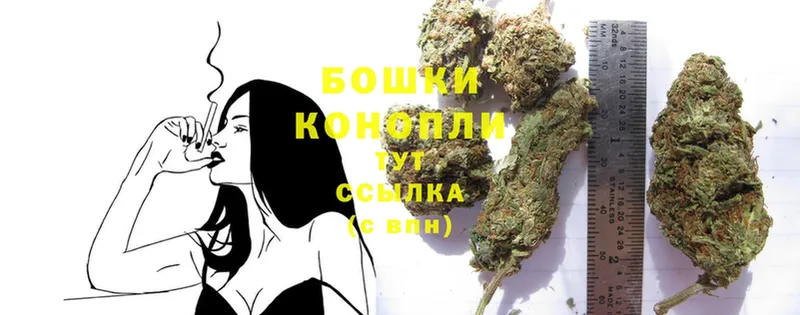 Марихуана White Widow  наркотики  Камышин 